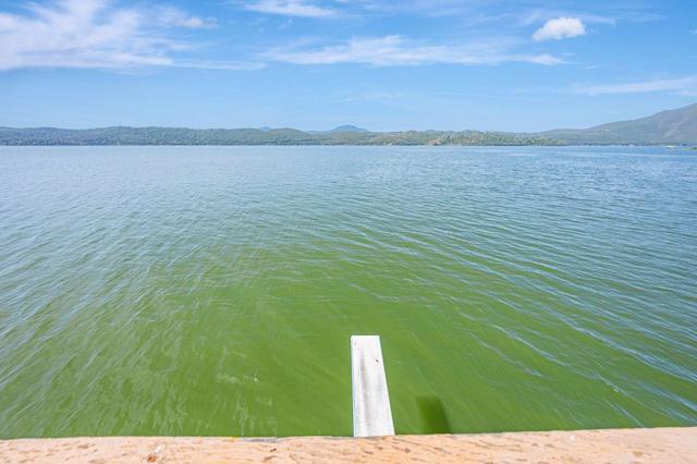 12340 Lakeshore Drive, Clearlake CA: https://media.crmls.org/mediaz/cc46a348-8bc8-4b0b-bc92-472d683efa17.jpg