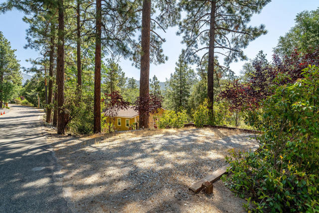 Image 42 of 45 For 53545 Double View Drive