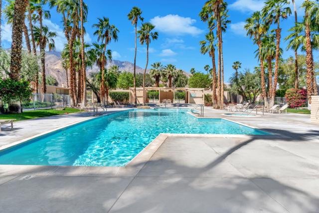 360 Cabrillo Road, Palm Springs CA: https://media.crmls.org/mediaz/cc4790a6-a2e3-4a00-81ce-c03e342febe4.jpg