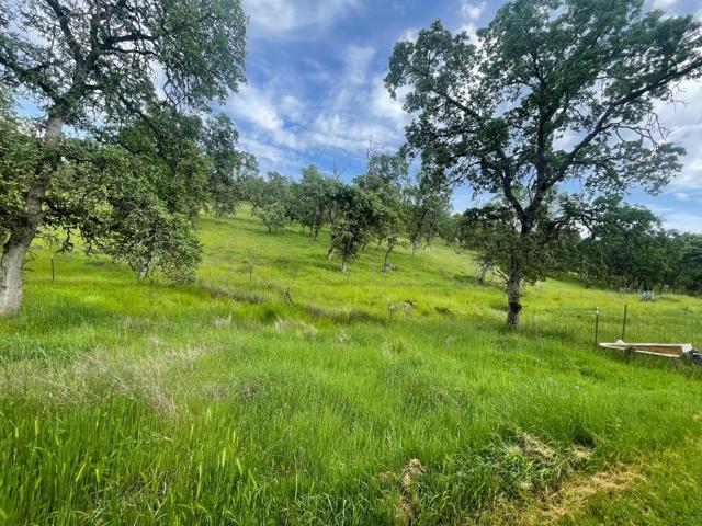 0 Avacado Road, Oroville CA: https://media.crmls.org/mediaz/cc48c968-409d-4019-94c7-87496127ea26.jpg