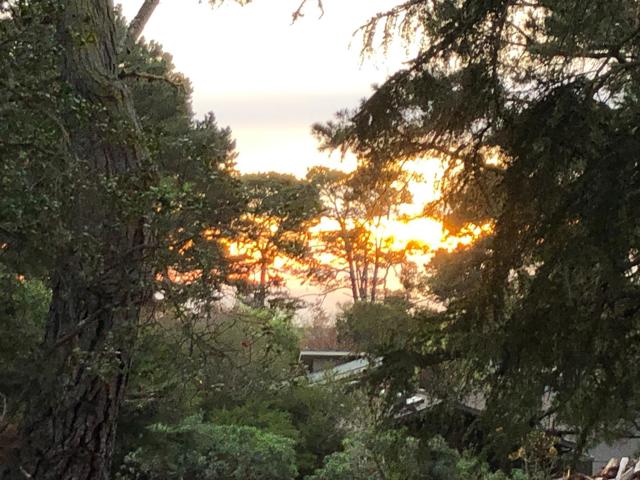 3600 High Meadow Drive, Carmel CA: https://media.crmls.org/mediaz/cc4b08eb-5195-49ad-a0a7-92cb03f441a2.jpg