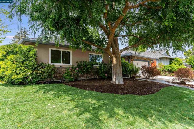 438 Odin Dr, Pleasant Hill CA: https://media.crmls.org/mediaz/cc4d61f5-4a0a-40db-8c14-ab088bfdd35c.jpg