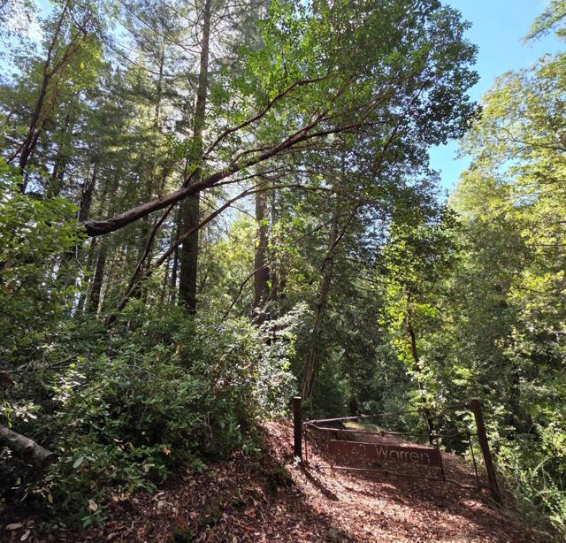 1140 Warren Drive, Santa Cruz CA: https://media.crmls.org/mediaz/cc4d64cf-77a8-463d-a3fa-330a22244ed4.jpg