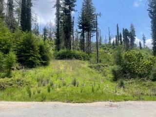 0 Memory, Boulder Creek CA: https://media.crmls.org/mediaz/cc548bcf-c4a0-4358-9006-c241dbc48aeb.jpg