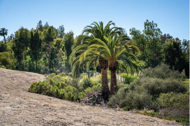 0 La Palma, San Diego CA: https://media.crmls.org/mediaz/cc569ab3-b9ed-4700-9e83-8e3e3baef6c0.jpg