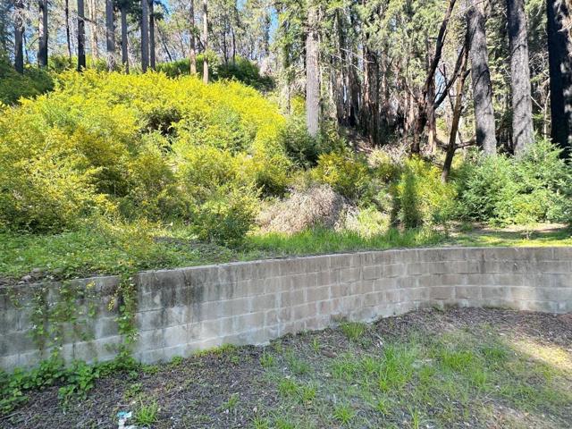 575 Hazel Brake, Boulder Creek CA: https://media.crmls.org/mediaz/cc5d7d6f-89ea-4c90-b84d-8f9cd1f7c2db.jpg