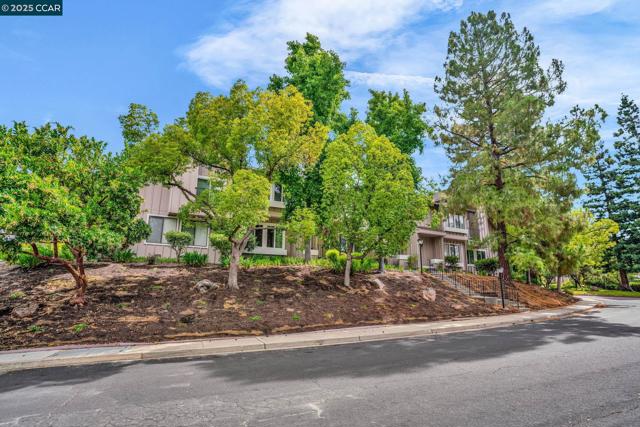 1430 Tampico Pl, Walnut Creek CA: https://media.crmls.org/mediaz/cc65d155-4f95-4509-9c5d-ecfb5812dfef.jpg
