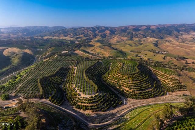 Front Image Thumbnail for CRV1-35662