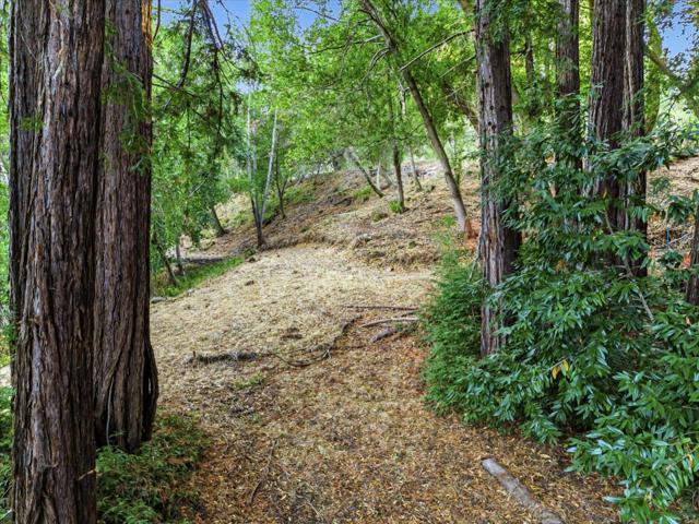 12 Montecito Road, Woodside CA: https://media.crmls.org/mediaz/cc6a37f9-1f33-4248-8a7f-56d452edc465.jpg