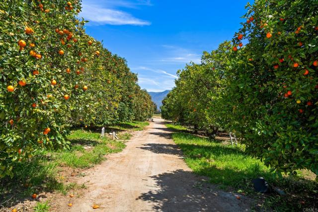 14224 Old Cole Grade Road, Pauma Valley CA: https://media.crmls.org/mediaz/cc6e40a3-a9ac-4dcb-ba49-4471d097dbdb.jpg