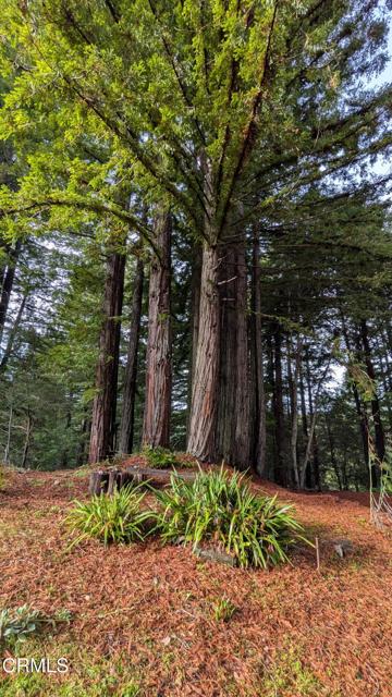 Detail Gallery Image 3 of 13 For 19800 Appaloosa Way, Philo,  CA 95463 - – Beds | – Baths