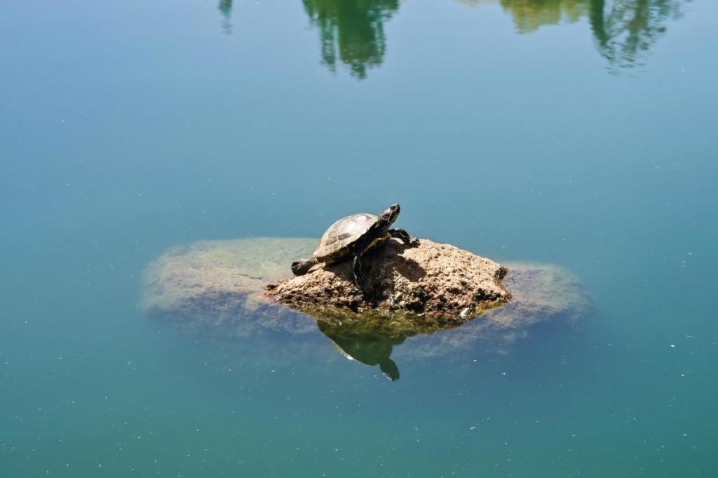 https://media.crmls.org/mediaz/cc83941c-df72-4752-adf3-ddb06e4d618e.jpg?preset=X-Large