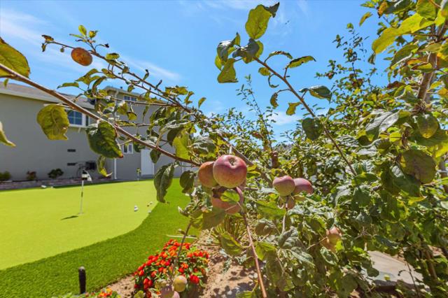 214 Manor Drive, South San Francisco CA: https://media.crmls.org/mediaz/cc99a11a-4000-4d3f-8b76-0e05f2d29bfc.jpg