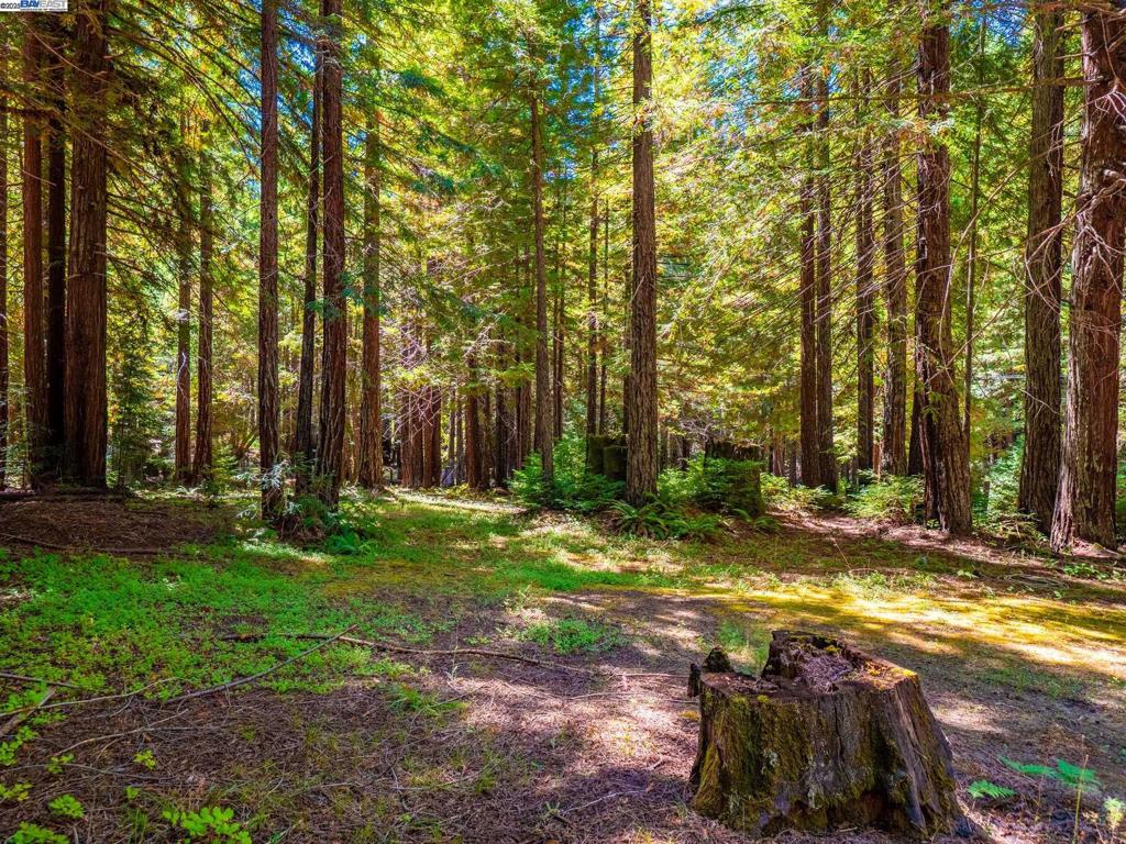 https://media.crmls.org/mediaz/cc9a5858-4211-462e-9075-cac83586e746.jpg?preset=X-Large