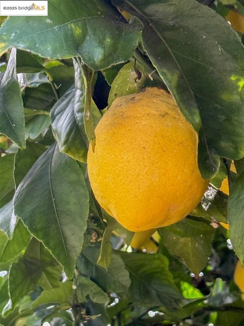 https://media.crmls.org/mediaz/ccacd473-40f9-42f3-ad0b-3b1654400b29.jpg?preset=X-Large