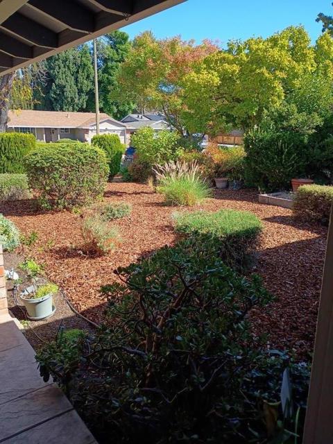 734 Pronto Drive, San Jose CA: https://media.crmls.org/mediaz/ccaeb894-93ca-4da6-a97d-a5ae544d1e91.jpg