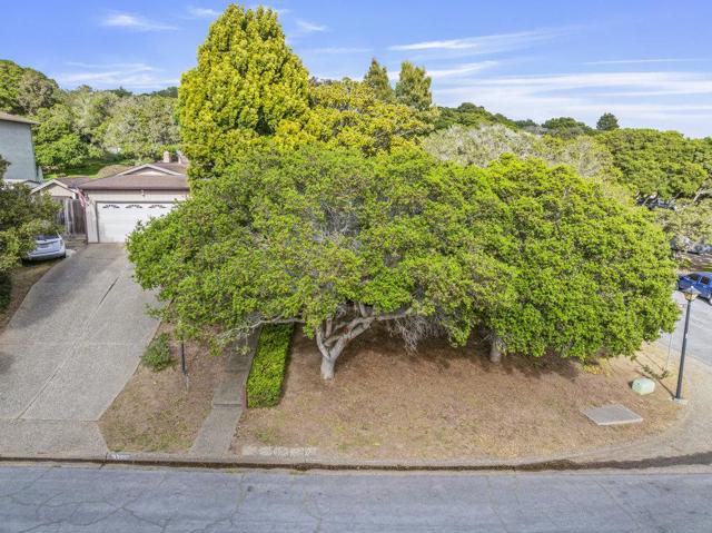 9355 Canyon Oak Road, Salinas CA: https://media.crmls.org/mediaz/ccb030e5-1ea8-41f6-a2cf-fc5c649f491b.jpg