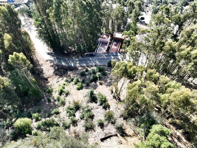 7590 Skyline Blvd, Oakland CA: https://media.crmls.org/mediaz/ccc0a5d3-4503-4f5d-b82e-9132f32d0741.jpg