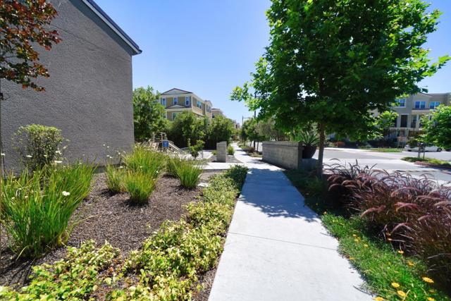 528 Odyssey Lane, Milpitas CA: https://media.crmls.org/mediaz/cccc155a-601d-4205-bd8f-1fe3f43d1bf5.jpg