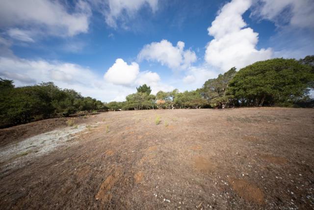 18221 Berta Canyon Road, Salinas CA: https://media.crmls.org/mediaz/ccd1b77b-0e1a-495c-bd1f-49d7d5eb998a.jpg