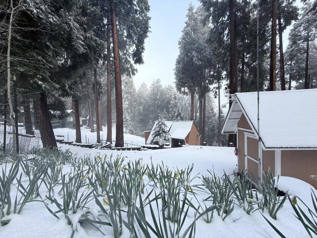 Detail Gallery Image 3 of 48 For 32811 Birch Hill Rd, Palomar Mountain,  CA 92060 - 2 Beds | 1 Baths