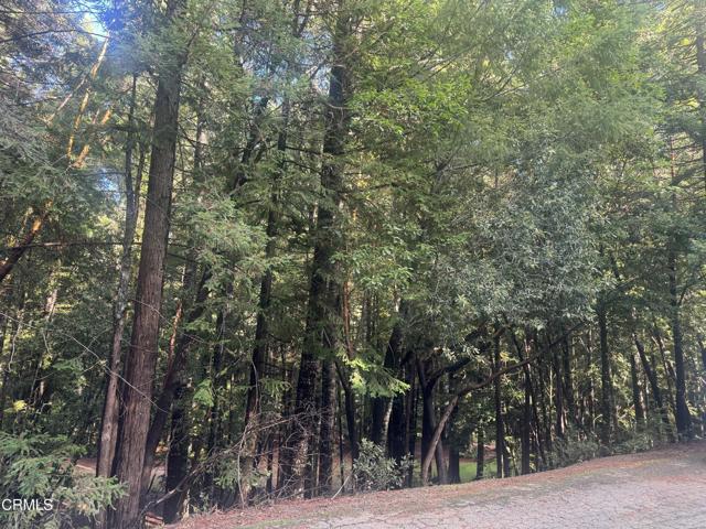 Front Image Thumbnail for CRC1-11211