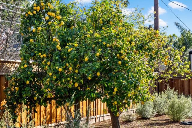 12536 Paseo Flores, Saratoga CA: https://media.crmls.org/mediaz/cce4ca13-3dc9-4053-96eb-293248fb0c62.jpg