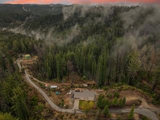 1005 Pinecrest Drive, Boulder Creek CA: https://media.crmls.org/mediaz/cce583ed-4e97-4fe3-be23-d5843884ca3a.jpg