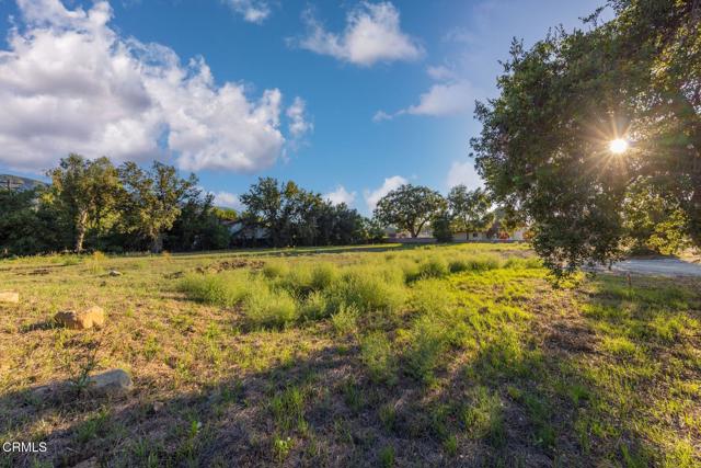 0 E Ojai Avenue, Ojai CA: https://media.crmls.org/mediaz/ccf407b3-35e2-42a4-a538-cf53c8aebb1b.jpg