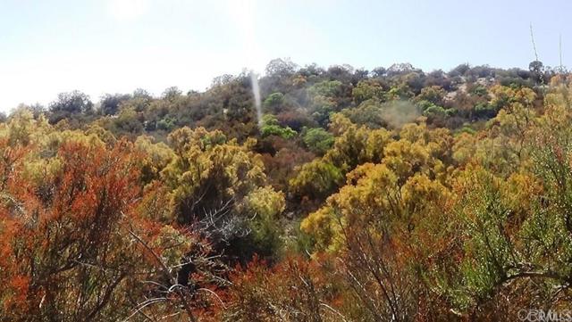 Detail Gallery Image 28 of 41 For 37245 Old Forest Rd, Anza,  CA 92539 - – Beds | – Baths