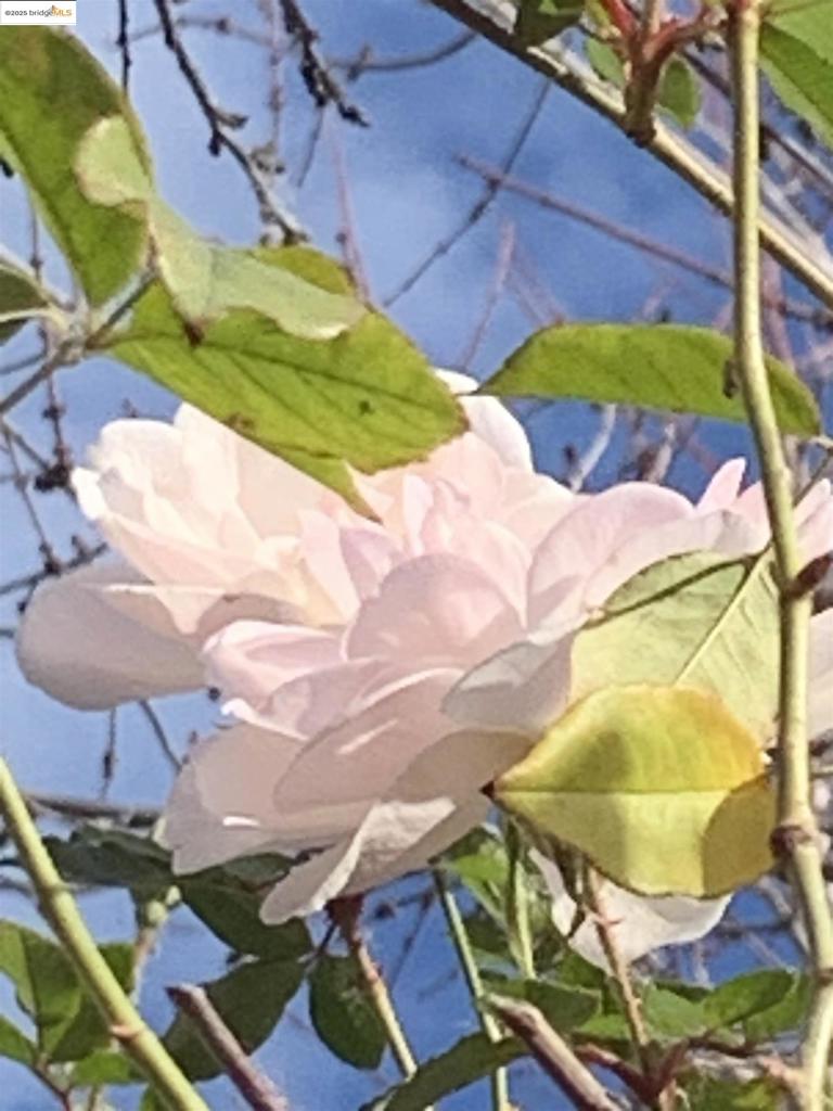 https://media.crmls.org/mediaz/ccfe8945-b2e6-4f63-bc2a-1d7fc237327e.jpg?preset=X-Large