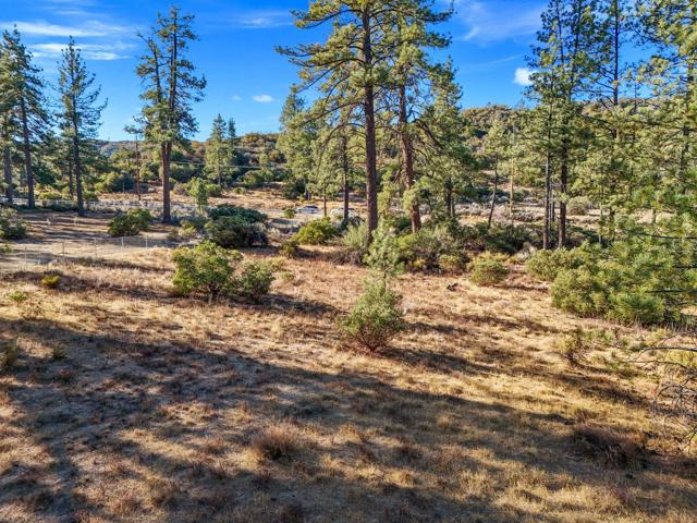 1 Pipe Creek Road, Mountain Center CA: https://media.crmls.org/mediaz/ccfef3c1-0dc4-47c6-8fc1-8ad6a1fa3c43.jpg