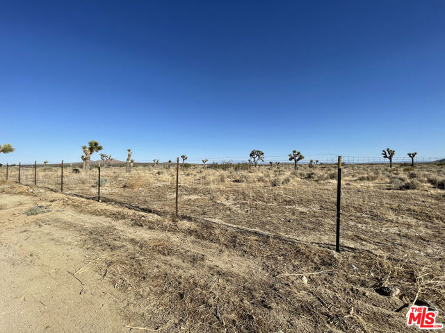 8144 Jefferson Street, Mojave CA: https://media.crmls.org/mediaz/cd086766-2494-45d7-b03d-12bb53d77feb.jpg