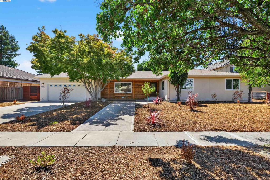 4435 Morse Ct