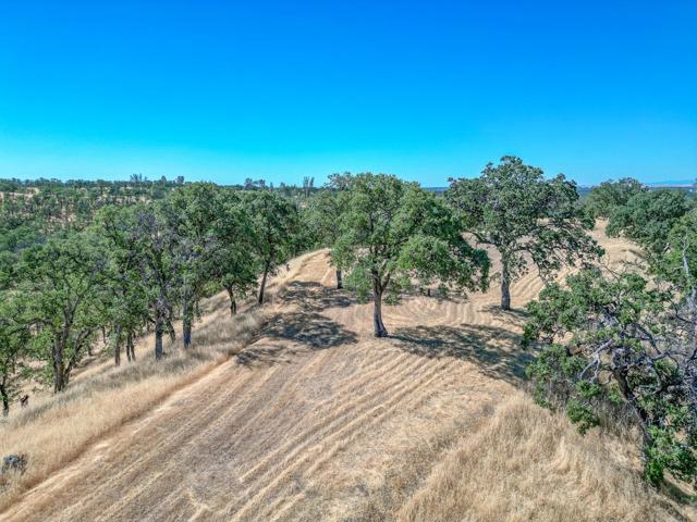 0 Wood Duck Pass Road, Red Bluff CA: https://media.crmls.org/mediaz/cd13e23d-08d1-44d3-a7a6-32a221510b4b.jpg