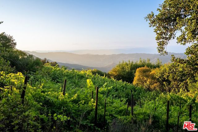 21965 Saddle Peak Road, Topanga CA: https://media.crmls.org/mediaz/cd151f01-d210-4b60-a8ab-269f0fe28593.jpg
