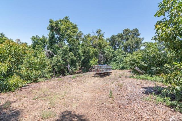 3137 E Valley Parkway, Escondido CA: https://media.crmls.org/mediaz/cd1bc5a6-6cc4-4f49-bbf7-f8a4b3744192.jpg