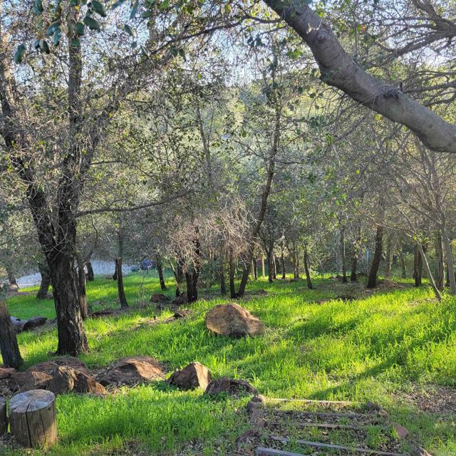 Detail Gallery Image 18 of 19 For 9720 Garwood Rd, Descanso,  CA 91916 - 3 Beds | 2 Baths