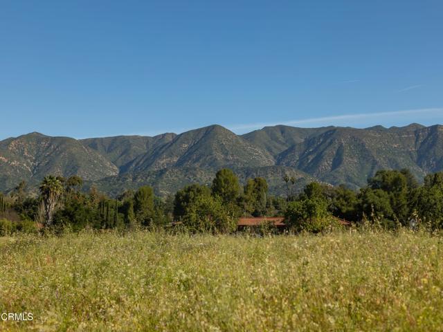 Detail Gallery Image 4 of 12 For 1400 Maricopa Hwy, Ojai,  CA 93023 - – Beds | – Baths