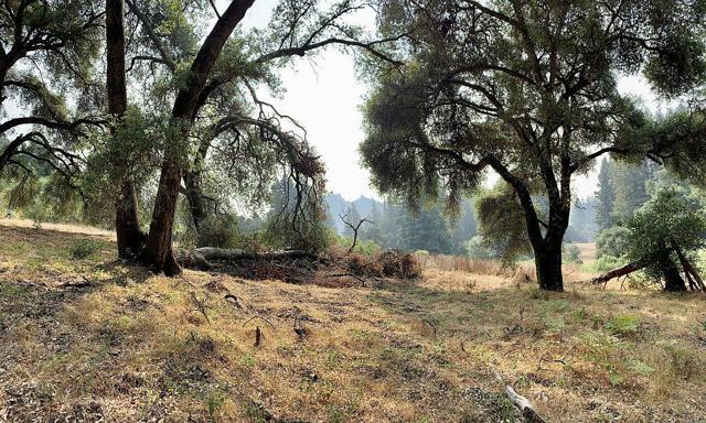 0 Two Bar Road, Boulder Creek CA: https://media.crmls.org/mediaz/cd26f729-0093-497a-a55e-9cb5dc610470.jpg