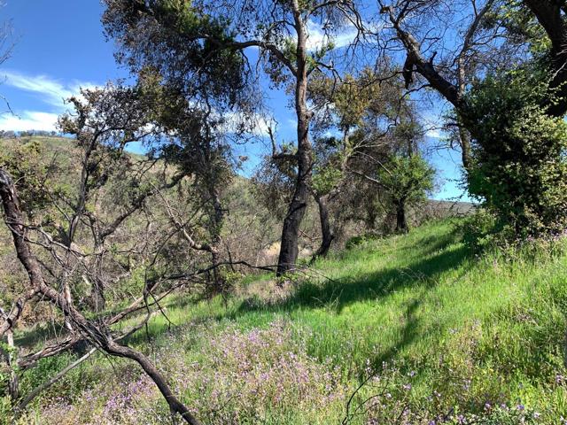 0 Cachagua, Carmel Valley CA: https://media.crmls.org/mediaz/cd28819f-a8f0-411c-a8e1-4dd6f4f45567.jpg