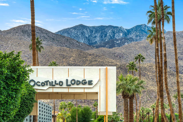 1111 E Palm Canyon Drive, Palm Springs CA: https://media.crmls.org/mediaz/cd381253-9715-43ea-a86c-92ea7d16a4f4.jpg