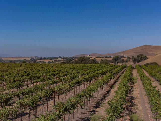 0 Airline Highway, Tres Pinos CA: https://media.crmls.org/mediaz/cd3e504e-e6f3-44dc-96ff-f6ed54cd1540.jpg