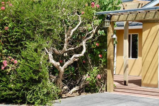 Detail Gallery Image 35 of 58 For 736 Mar Vista Dr, Vista,  CA 92081 - 1 Beds | 1 Baths