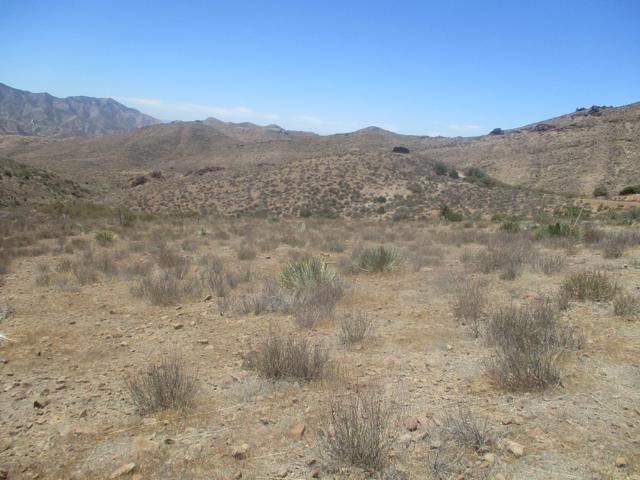 28 Hughes Canyon, Acton CA: https://media.crmls.org/mediaz/cd426df7-2cb6-4233-8ba0-db3803c876c2.jpg
