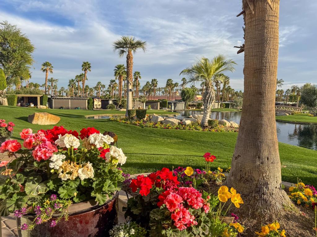 MLS #219138352DA image #12