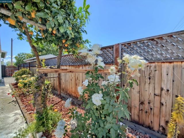 848 Linda Vista Street, San Jose CA: https://media.crmls.org/mediaz/cd4a0abb-159a-428c-a29a-28dae14afb56.jpg