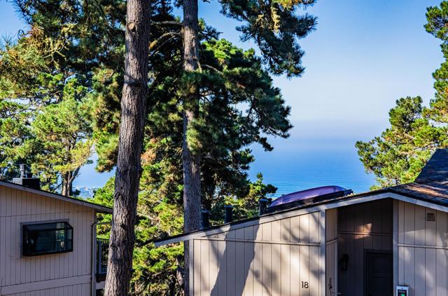 250 Forest Ridge Road, Monterey CA: https://media.crmls.org/mediaz/cd5e26e2-d123-4417-8479-e97fa1d50717.jpg