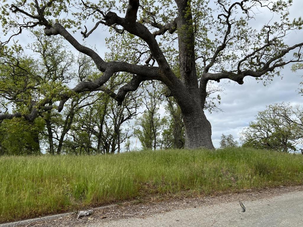 MLS #ML82007500 image #4