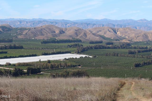 Detail Gallery Image 30 of 32 For 1672 E Los Angeles Ave, Somis,  CA 93066 - – Beds | – Baths